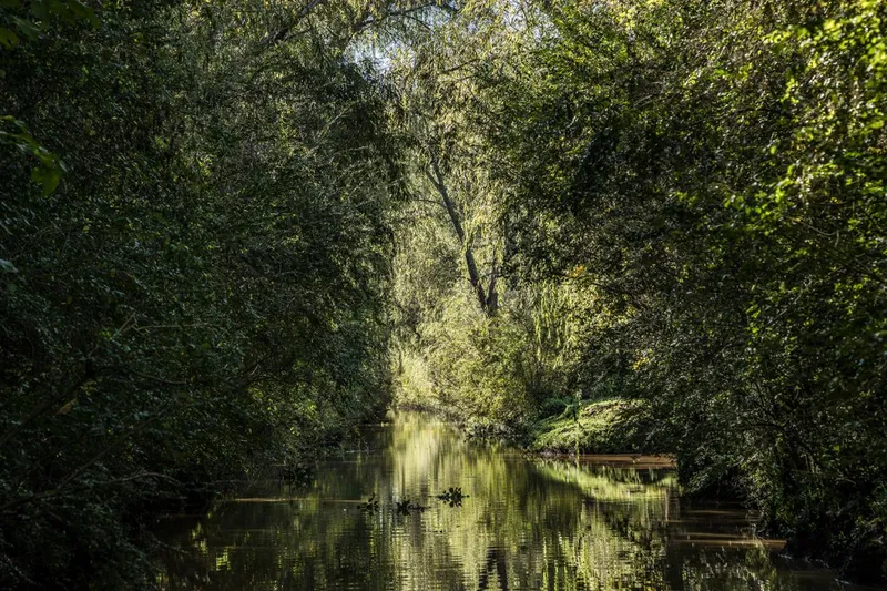 Arroyo Banco, Tigre